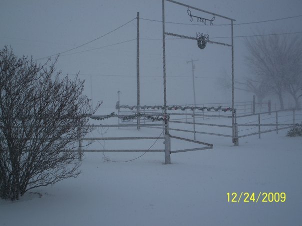 Daniel Corr's album, Christmas 2009