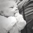 Tara Scheve's album, Timeline Photos