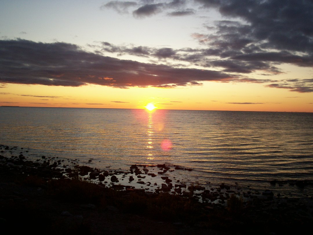 Roxanne Rissell's album, Cover Photos