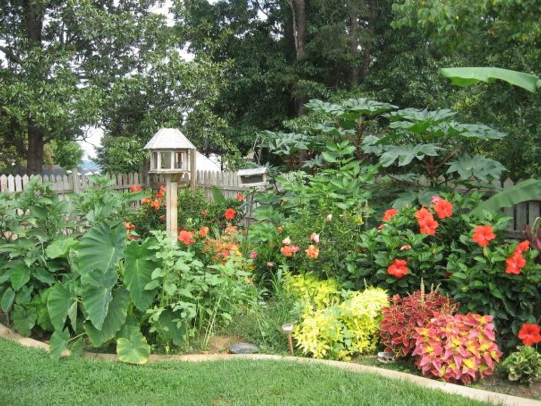 Sharon Moore's album, Missing My Garden