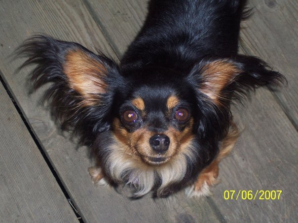 Terry Murray's album, Roxy