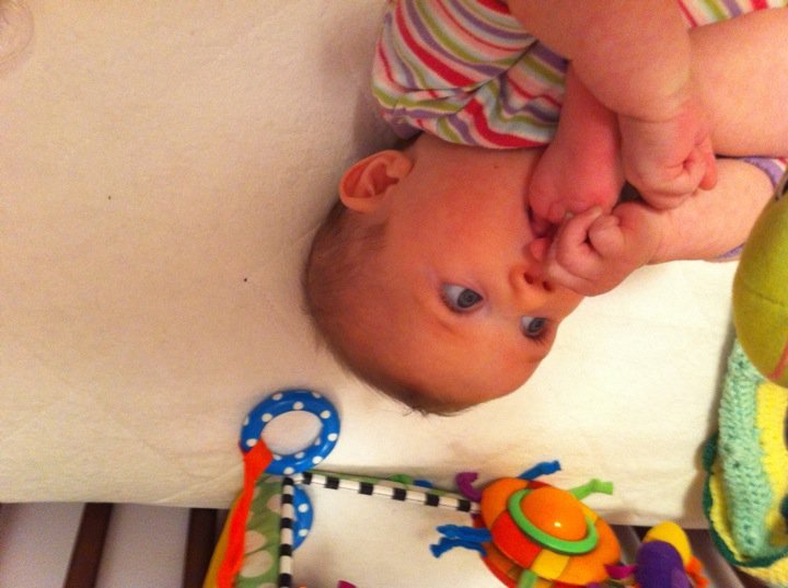 Rachel Johnson's album, Mobile Uploads