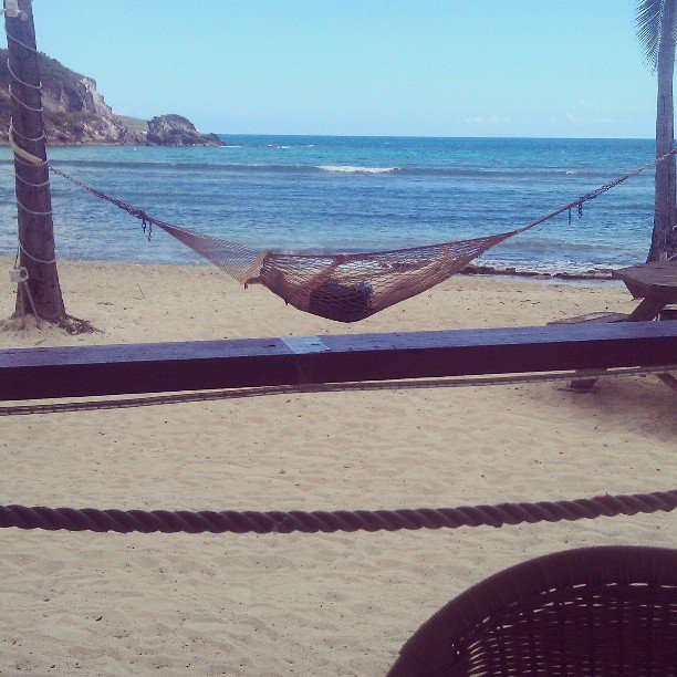 Ruth Boyer's album, Instagram Photos