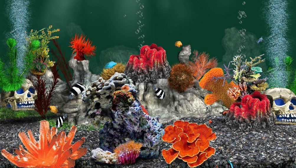 Rose Howell's album, AquaLife 3D Photos