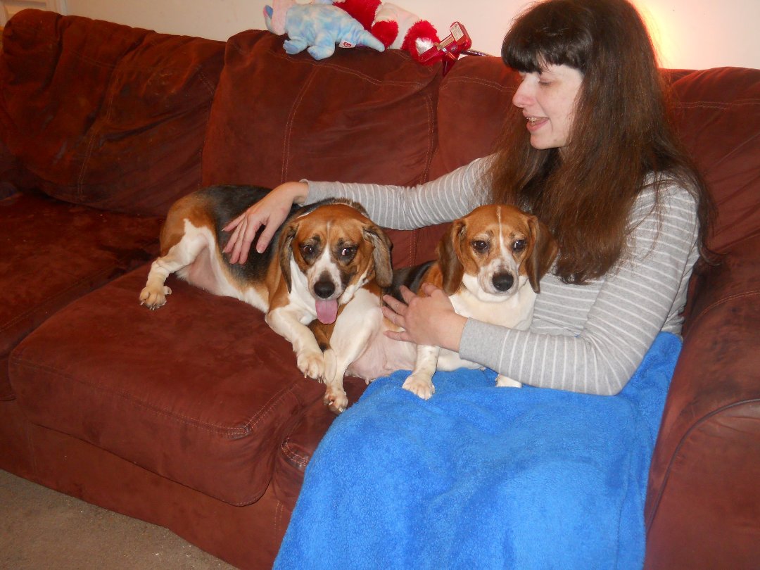 Scott MacKay's album, New Pets