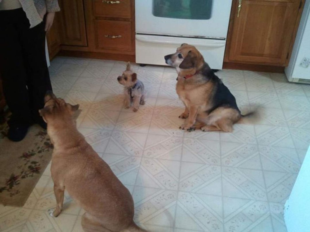 Stacey Bernier's album, Mobile Uploads