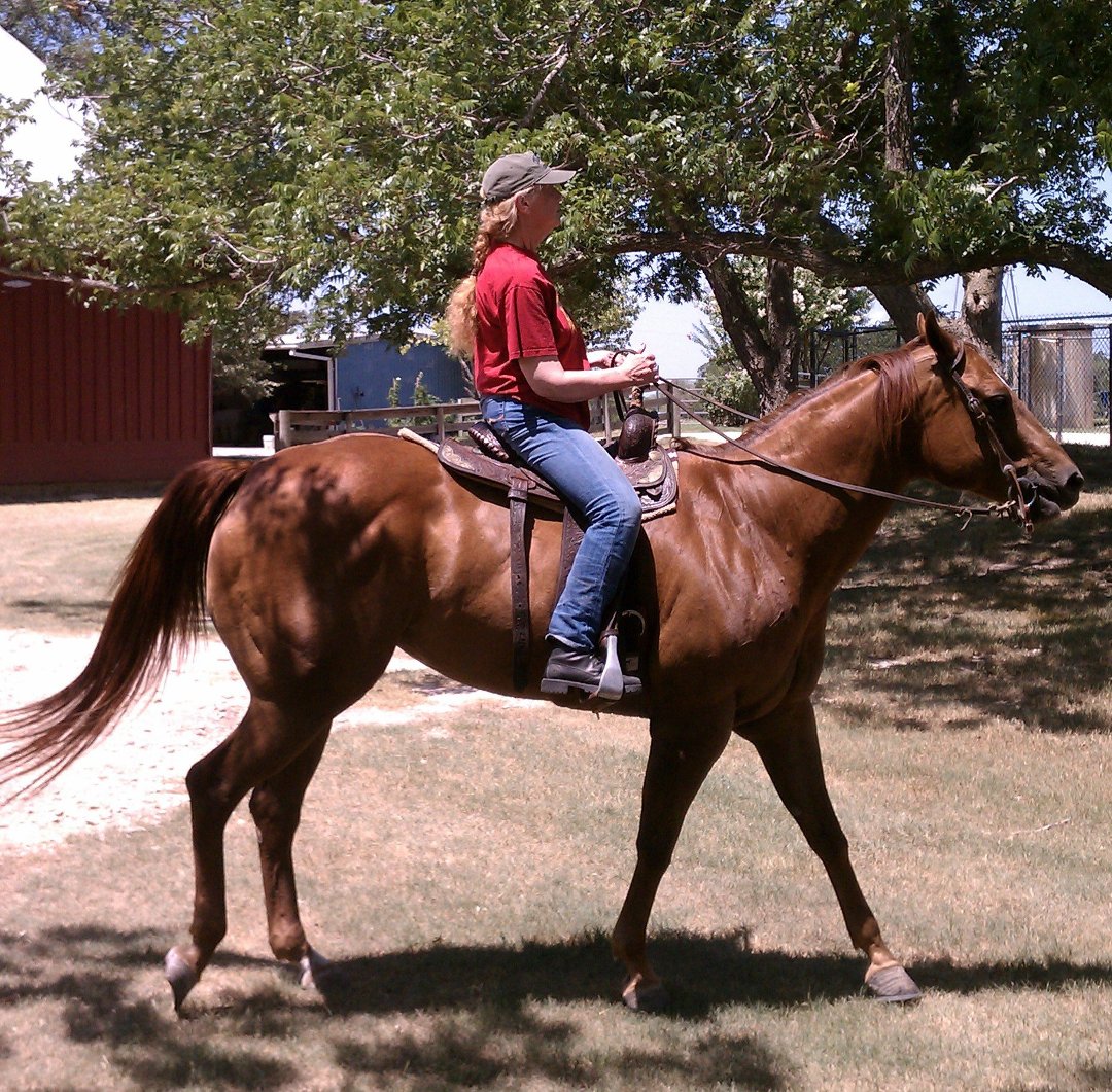 Cindy Burkhardt's album, Profile Pictures