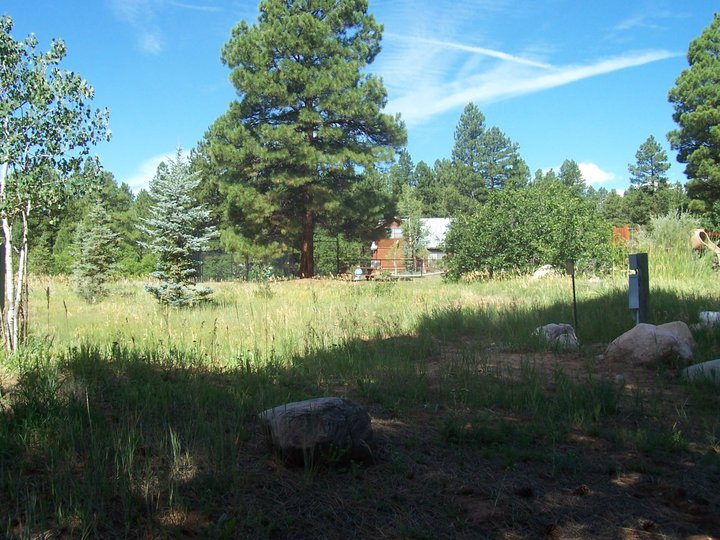 Priscilla McKinnon's album, 2010 Durango