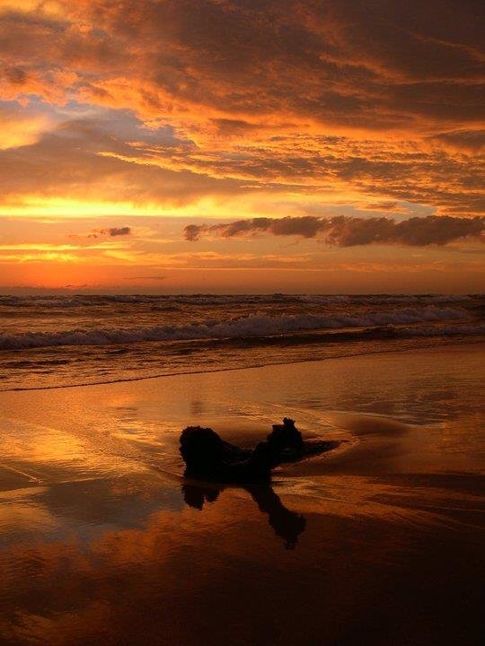 Stephen Graham's album, Michigan Sunset