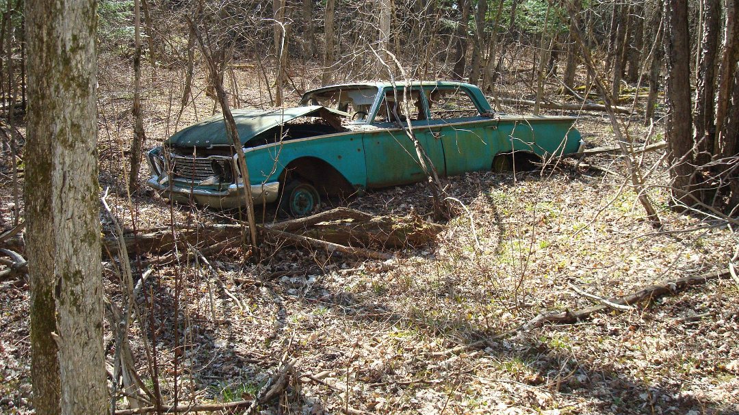 Chris Cunningham's album, 'Rustic' Scenes on a Recent Hike