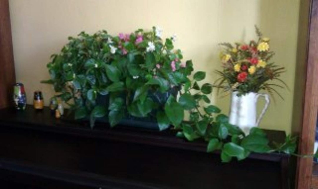Lori Smith's album, Beautiful New Table!!!!