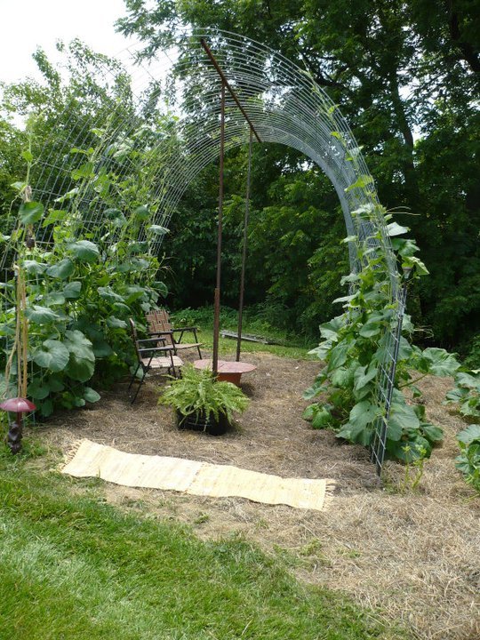 Vern Barry's album, July 2, 2011