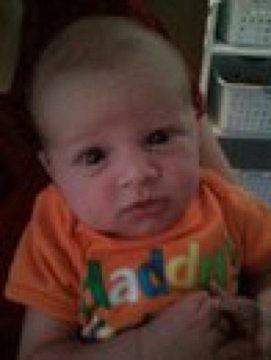 Joe Barbata's album, Timeline Photos