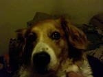 Gilbert Barnwell's album, Timeline Photos