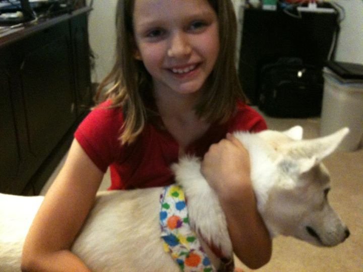 Cheryl MCClure's album, Mobile Uploads