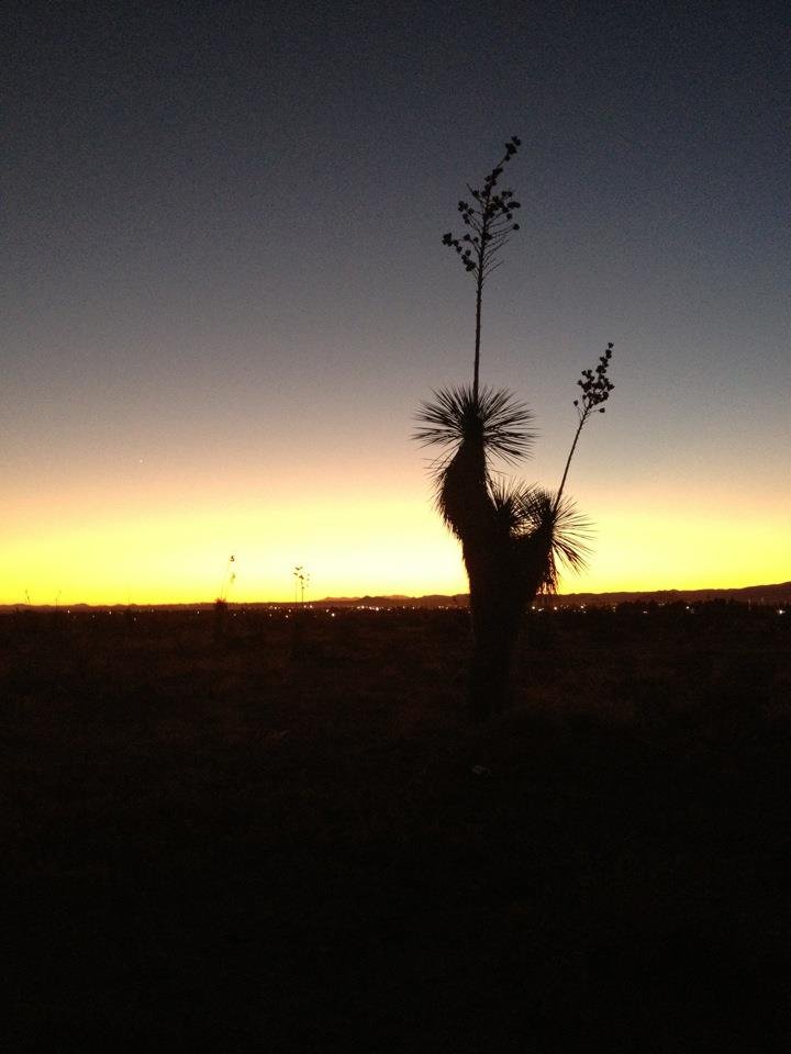 Diane Ballou's album, Cover Photos