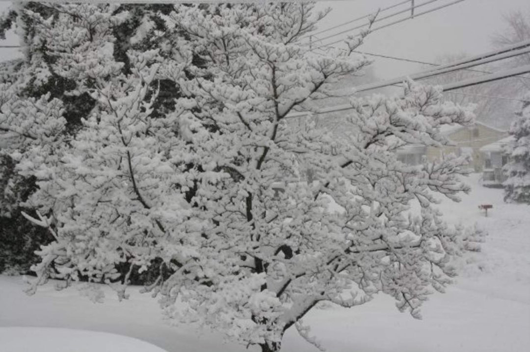 Brandy Krediet's album, The never ending winter