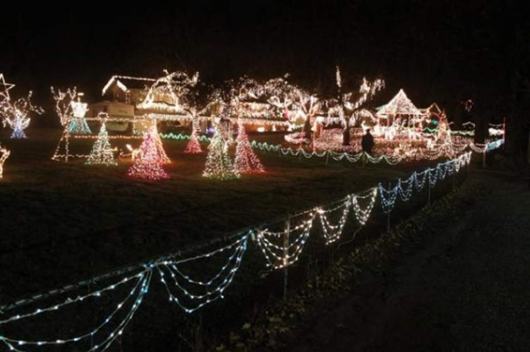 Dennis Bashor's album, Christmas 2009 lights and pets