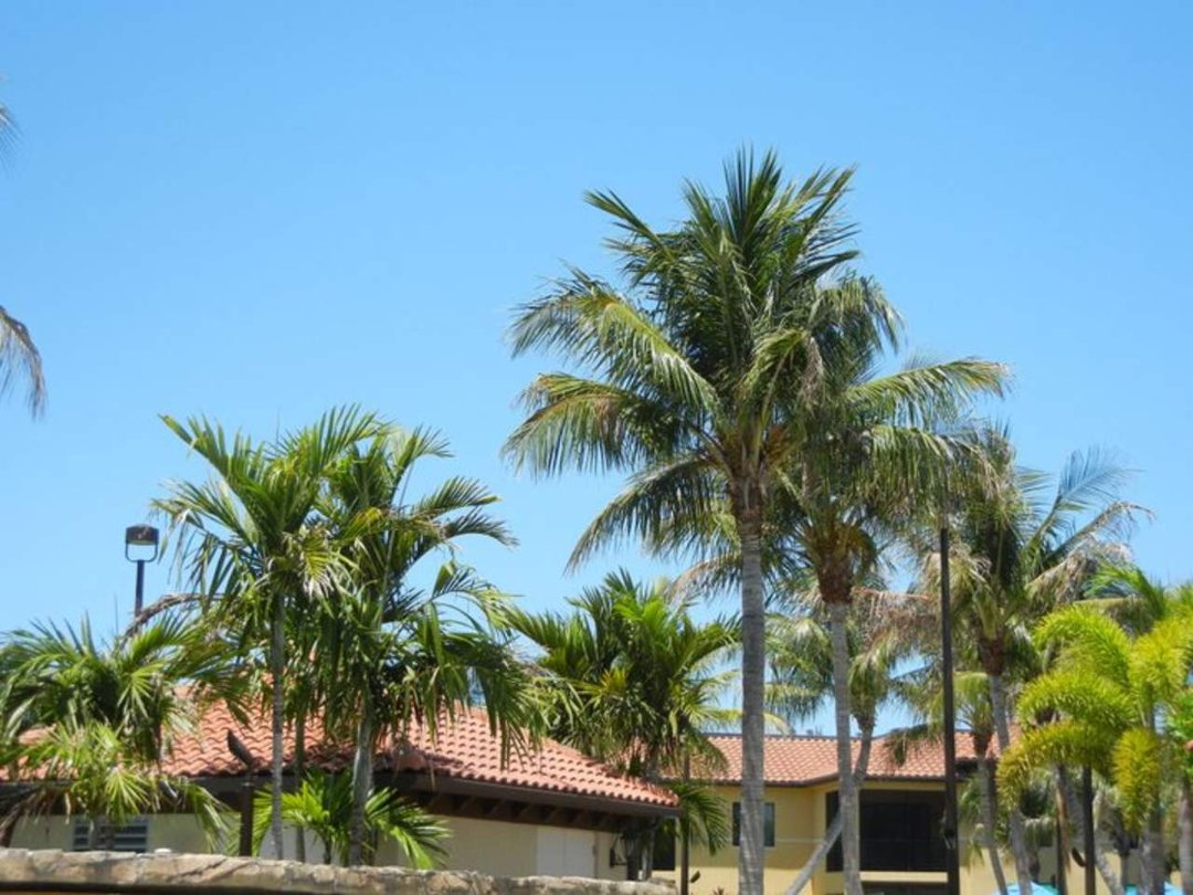 Jeff Leovic's album, Naples Florida vacation