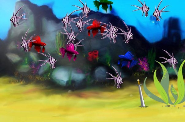 Barbara Malinowski's album, Fish Life Photos