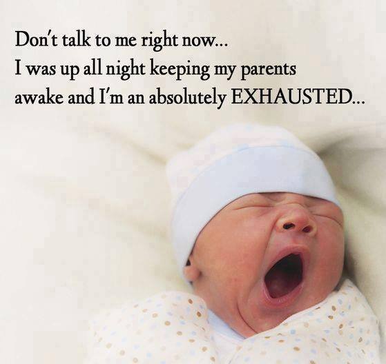 Nancy Garibay's album, Timeline Photos