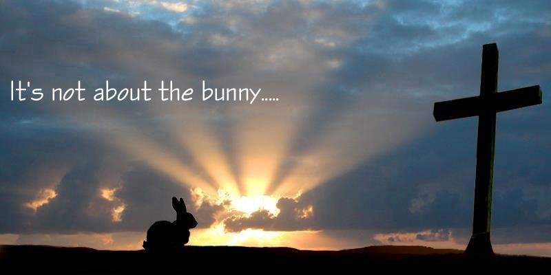 Danny Case's album, Cover Photos