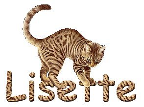 Lisette Bourne's album, Profile Pictures