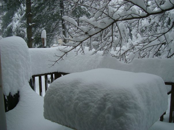 Donald Swan's album, Snow_Feb_2010