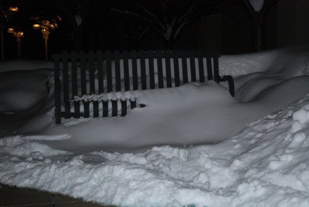 Donna Greenwald's album, winter wonderland