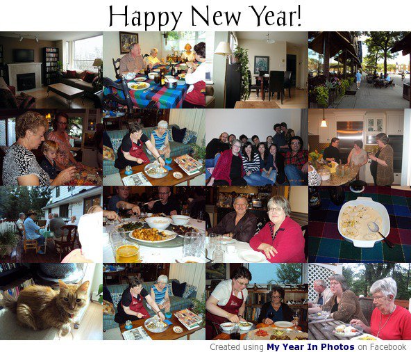 Nancy Hedberg's album, My Year - 2009