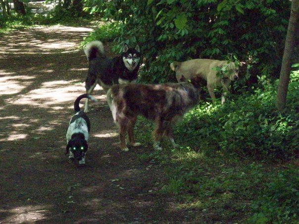 Cat Baumgartner's album, Timeline Photos