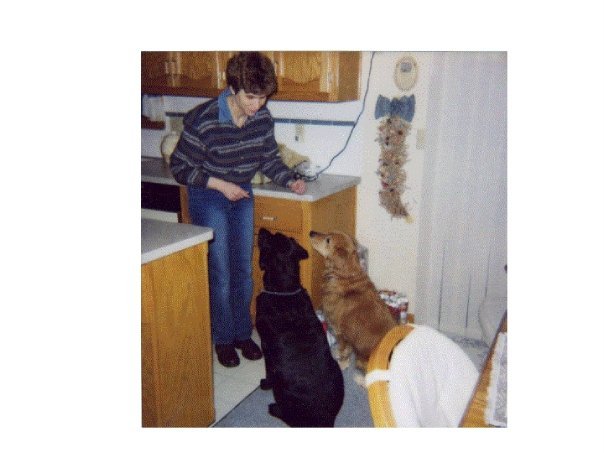 Terry Moses' album, Doggies