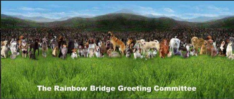 Bob Cameron's album, Cover Photos