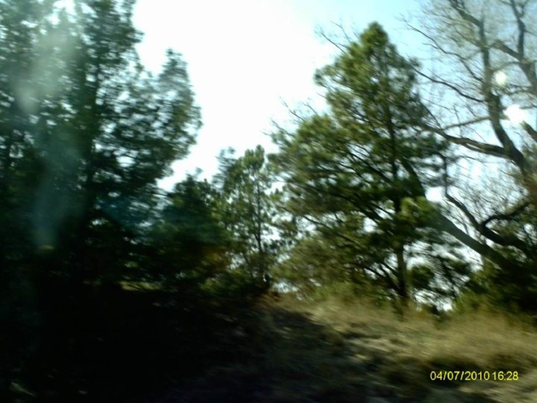 Douglas Heller's album, SpringBreak 2010 - Day 3