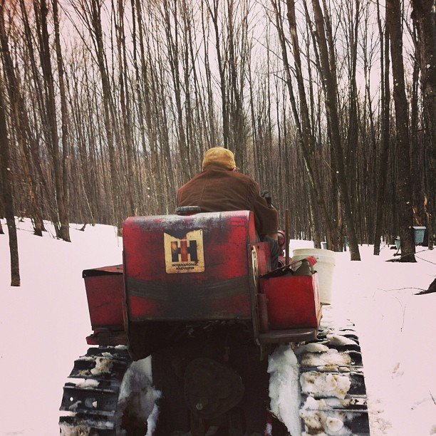 Kris Hunt's album, Instagram Photos