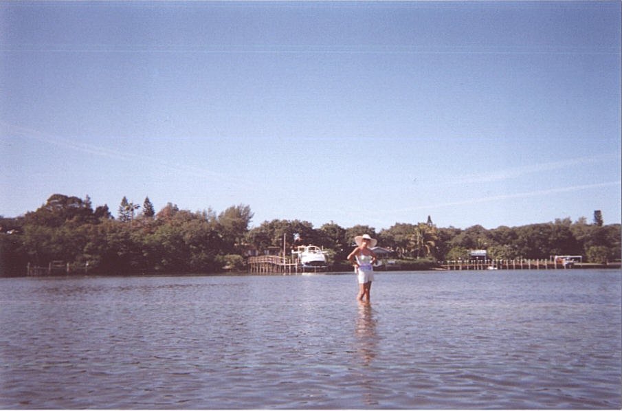 Peter Giftos' album, Kayaking Bayside at Island Reef