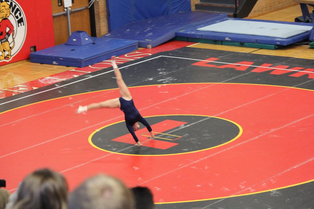 Mike Mann's album, State Gymnastics