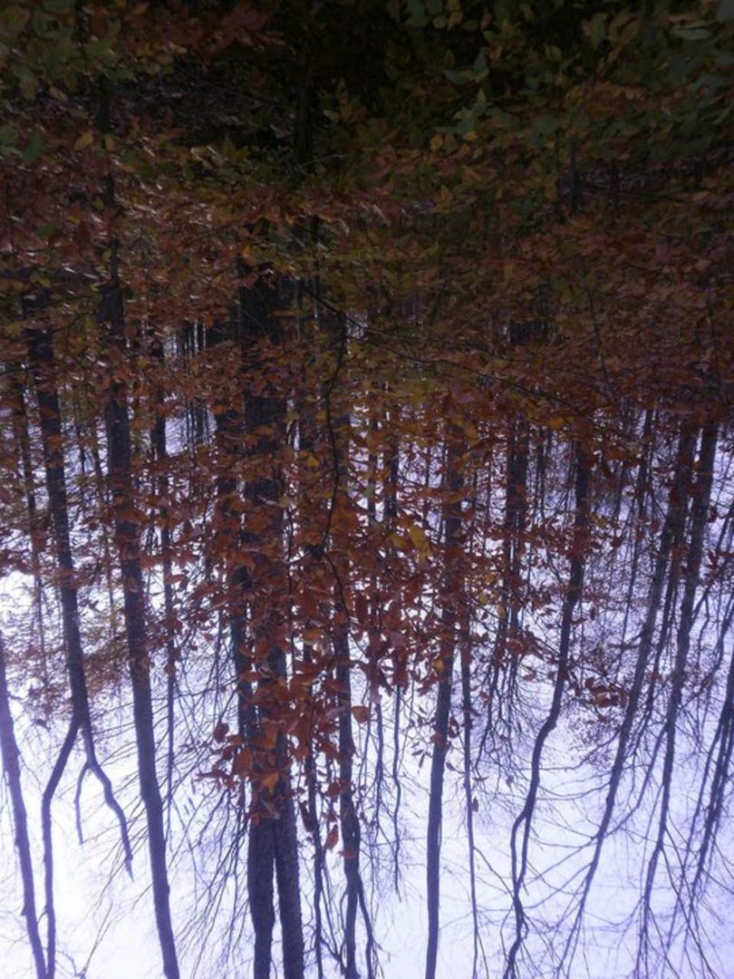 Laura Vickers' album, Potter Fall 2010