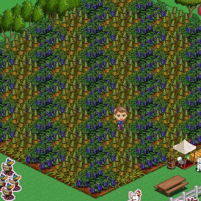 Jean Handley's album, FarmVille Photos