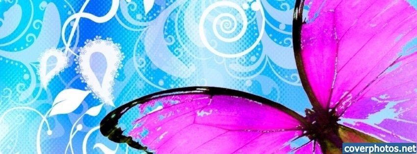 Judy dotson's album, Cover Photos