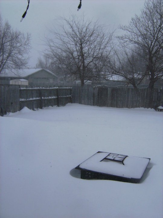 Todd Samuelson's album, Another album of blizzard photos