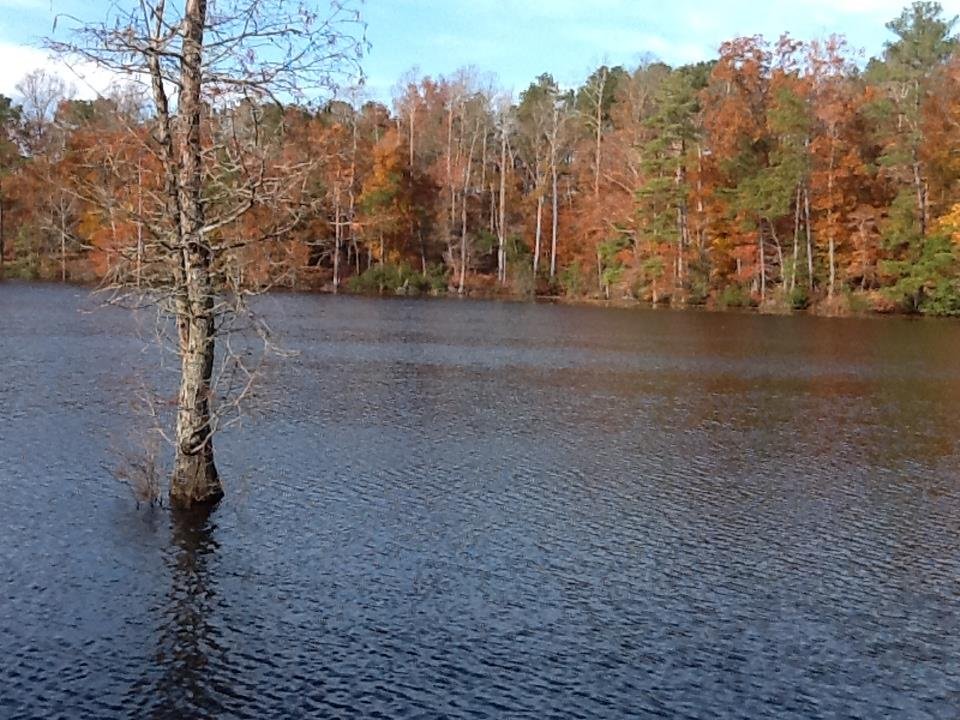 Robbie Stowe's album, "The Country" - John's Family Homeplace