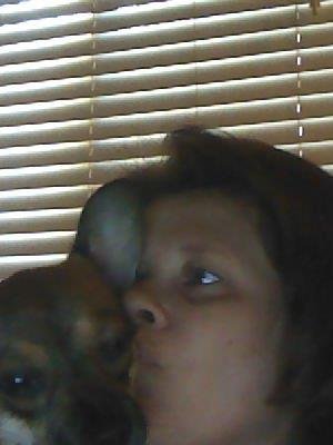 Sandy Case's album, Profile Pictures