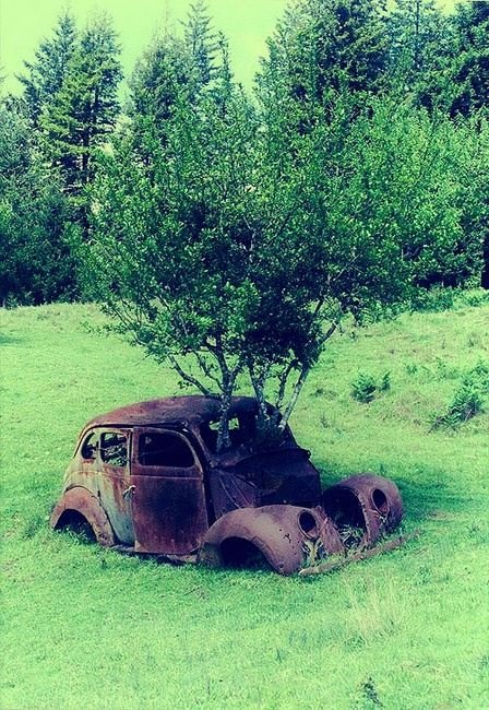 Linda Miller's album, Cover Photos