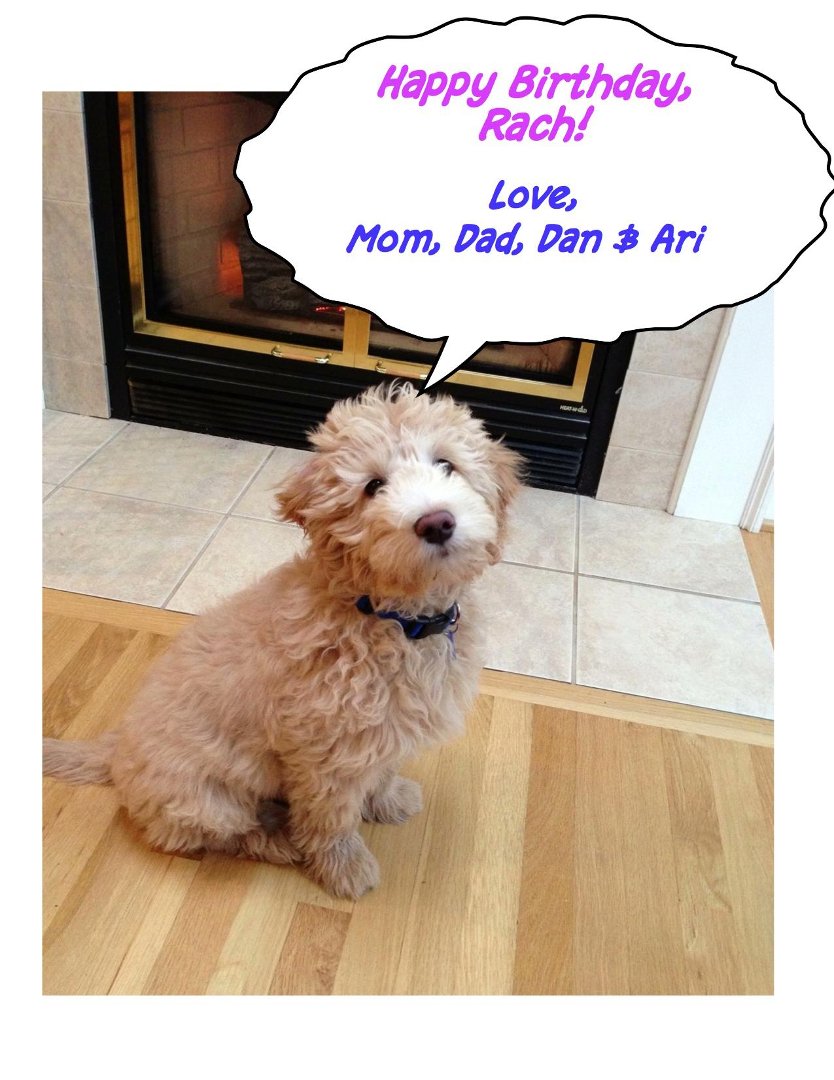 David Diskin's album, bday-comic