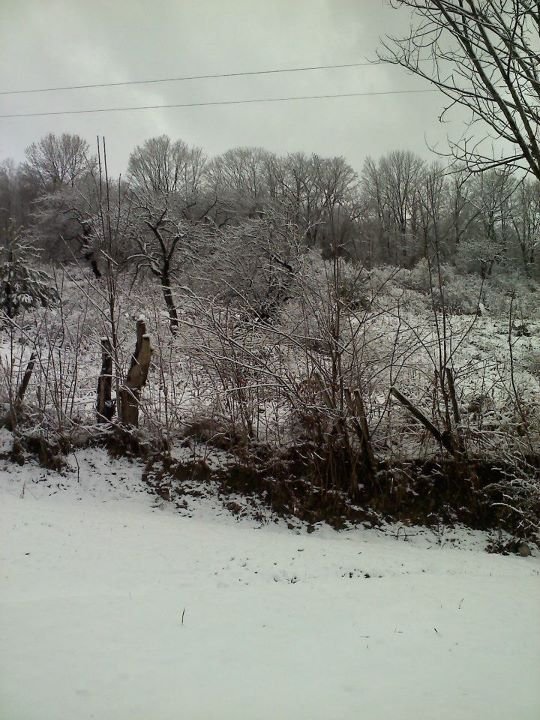 Joseph Lewis' album, December 8, 2011