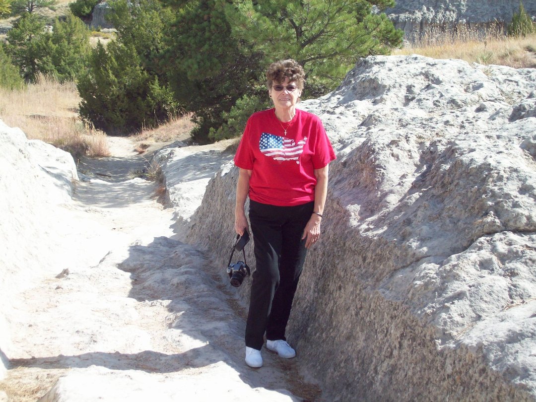 Norma Tietz's album, Profile Pictures