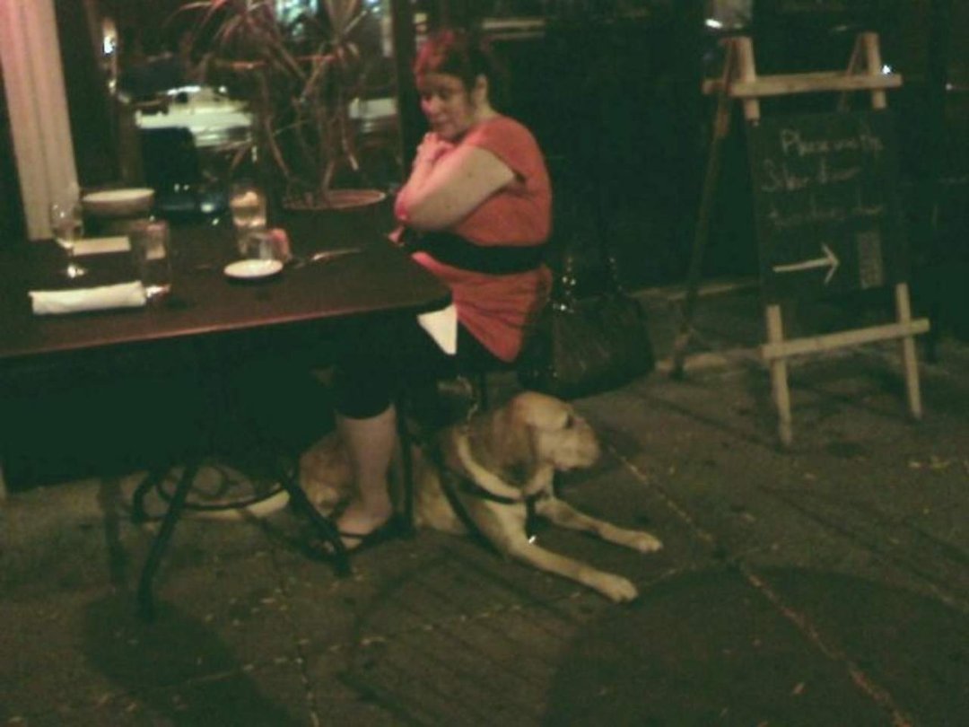 Terry Moses' album, Doggies