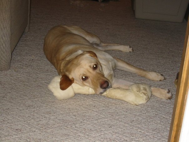 Tyler Nelson's album, Sweet Tobi Girl