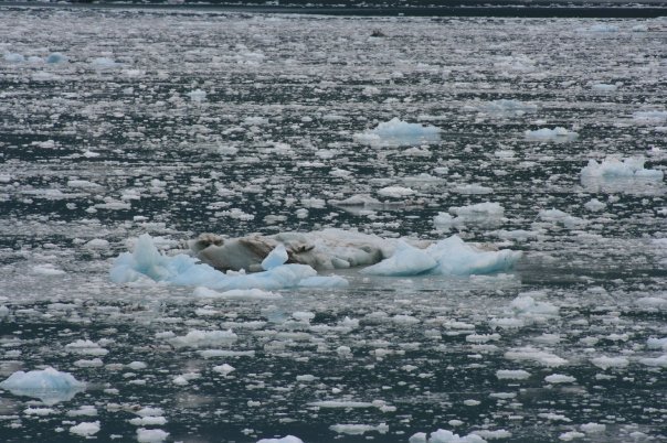 Jeff Juneman's album, Alaska